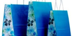 Multicolor Printed Bag