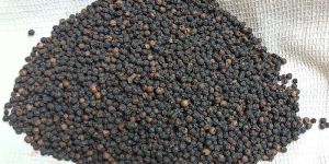 Yercaud Black Pepper,