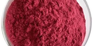 Prickly Pear Extract