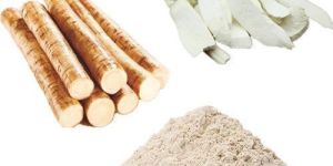 Wild Yam Extract