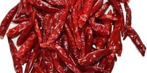 Dry Red Chilli
