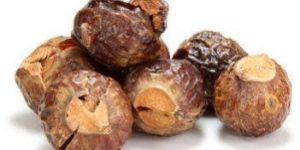 Soap Nuts