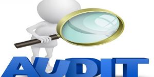 Partnership Income Tax Audit Services