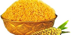 Yellow Millet