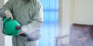 Fog Sanitization Services