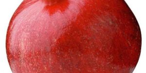 Fresh Pomegranate