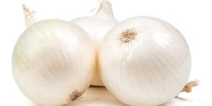 Fresh White Onion