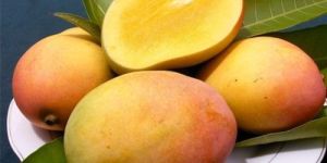 Rajapuri Mango