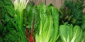 Fresh Leafy Vegetables