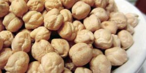 Chickpea Seeds