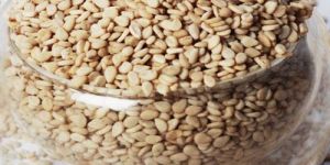 Sesame Seeds
