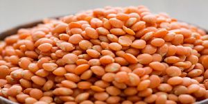 Red Lentils