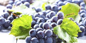 Seedless Black Grapes
