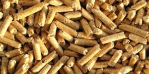 Biomass Pellets