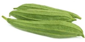 Fresh Ridge Gourd