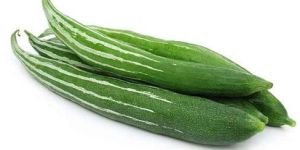 Fresh Snake Gourd