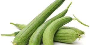 Fresh Sponge Gourd