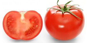 Fresh Tomato