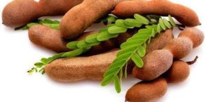 Fresh Tamarind