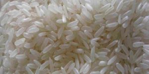 Ir 8 Rice
