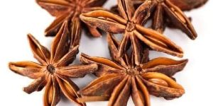 Star Anise Seeds