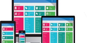 Custom ERP Development