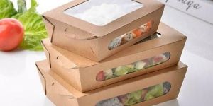 Eco Friendly Disposable Lunch Box