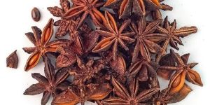 Star Anise