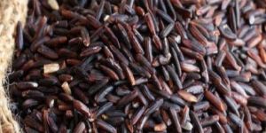 Black Rice