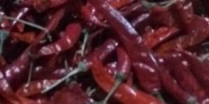 Red Chilli