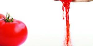 Dehydrated Tomato Granule