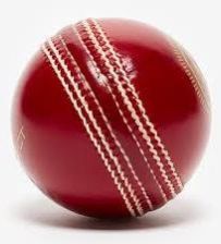 Leather Cricket Balls