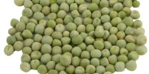 Pea Seeds