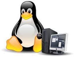 Linux Administration Services