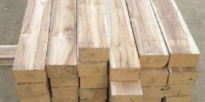 American Teak Wood Logs