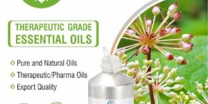 Spikenard Therapeutic Essential Oil