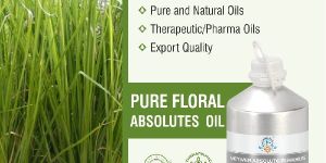 Vetiver Absolute Oil