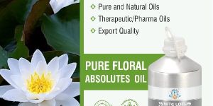 White Lotus Absolute Oil