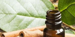 Cinnamon Leaf Oil