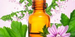 Patchouli Oil