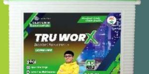 Tubular Acid Batteries