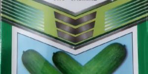 Hybrid Cucumber Seeds