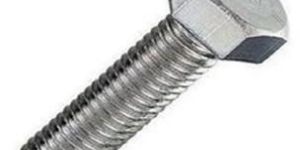 Stainless Steel Hex Bolts