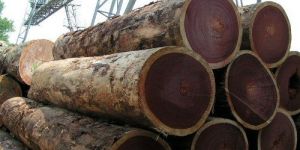 Rosewood Logs