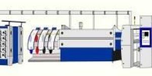 Woven Sack Tape Plant