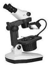 Zoom Jewelry Microscope