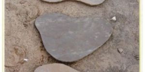 Garden Stepping Stone