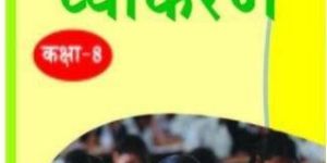 Sanskrit Grammar Book