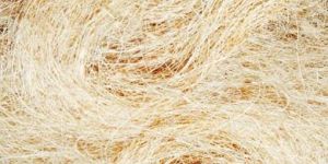 White Coir Fiber