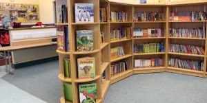 School Bookshelf